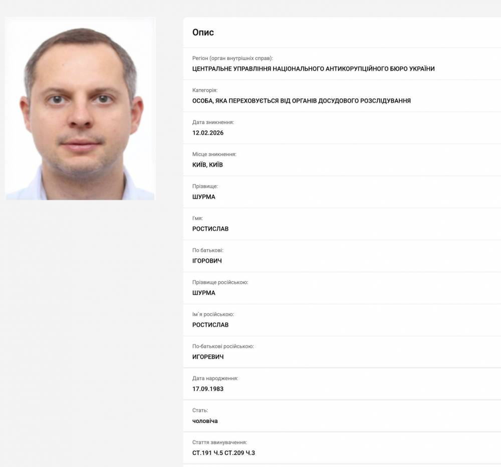 Братьев Шурму объявили в розыск по делу о «зелёном» тарифе — данные канала — 1