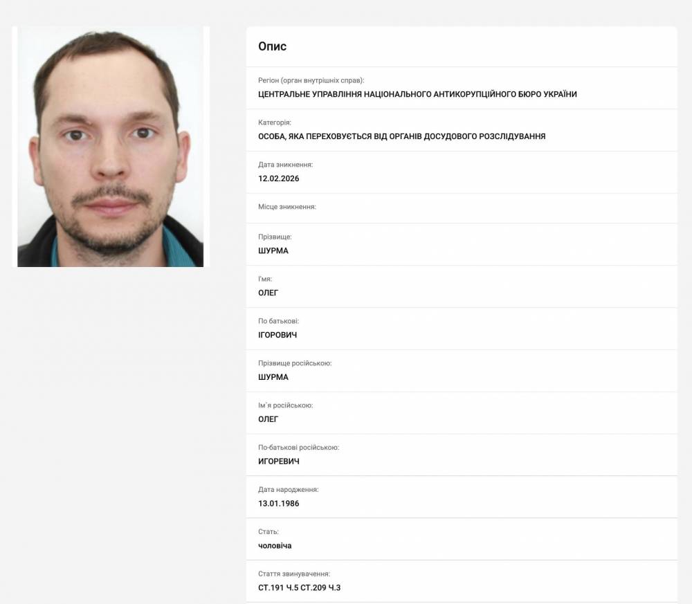 Братьев Шурму объявили в розыск по делу о «зелёном» тарифе — данные канала — 2